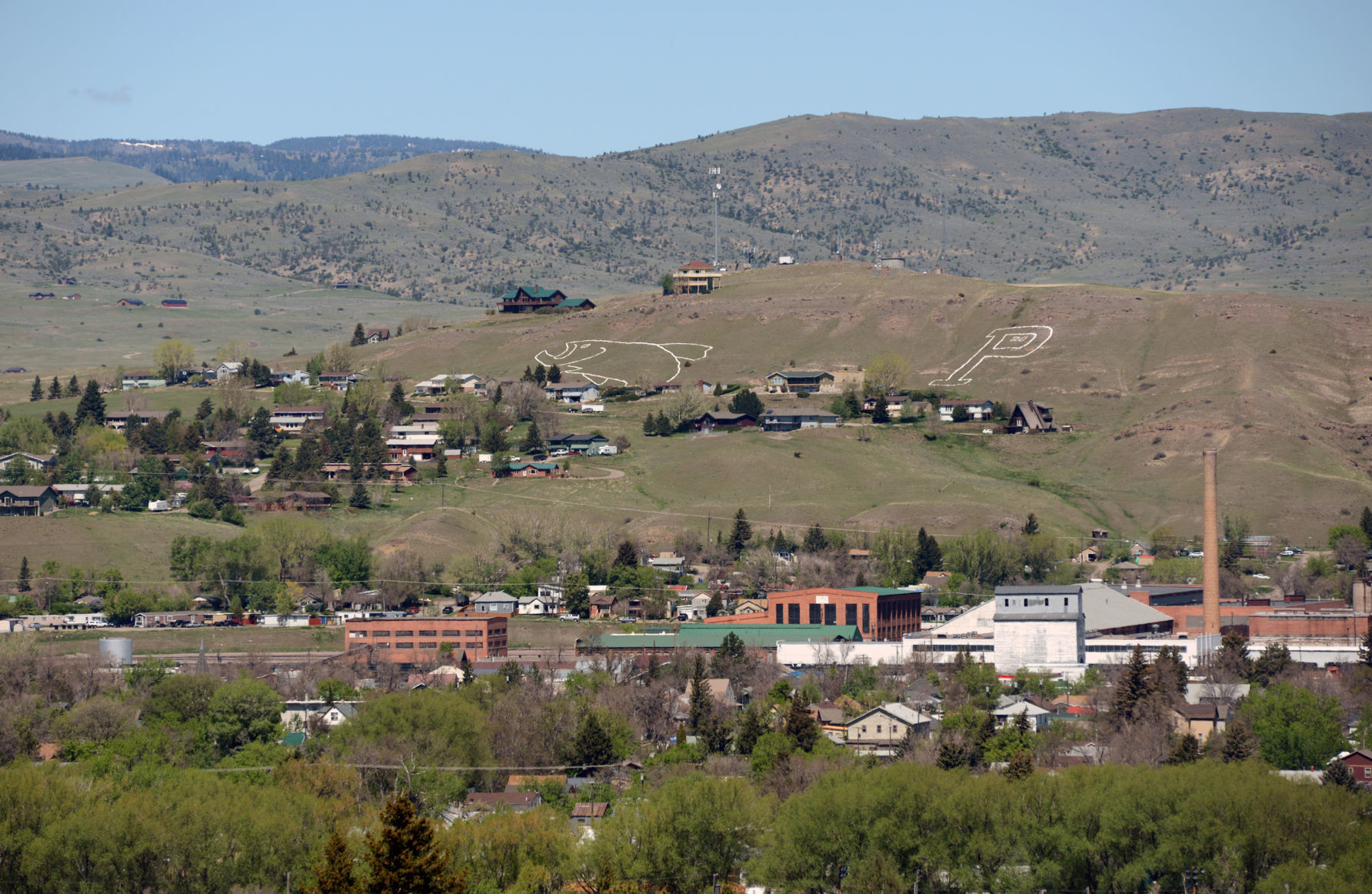 Livingston